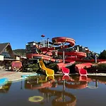 289