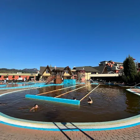 Apartament 289 *